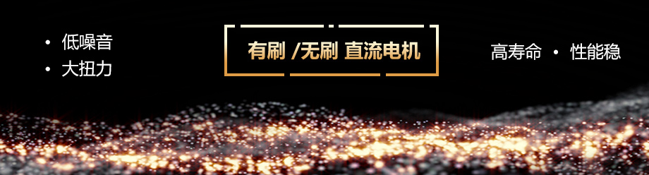 杏彩体育官网入口-有刷、无刷直流电机